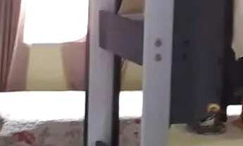 Imagem 4: Casa em Rua Canário - Laranjeiras - Caieiras/SP