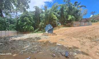 Imagem 2: Terreno no Aleixo