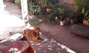 Imagem 5: Casa 2 quartos com quintal varanda