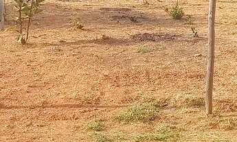 Imagem: Vendo lote 360 mts, bairro Vivendas do Vale