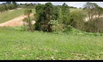 Imagem: VIVA A NATUREZA TERRENOS PARA VENDA NO