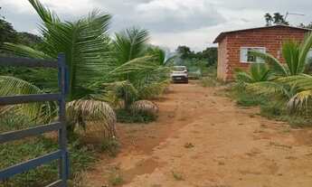 Imagem 3: Chácara em Leopoldo Bulhões, 2mil metros