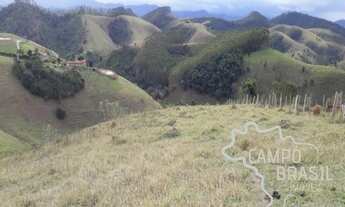 Imagem: Área Rural de 3 alqueires na Zona Norte!!!