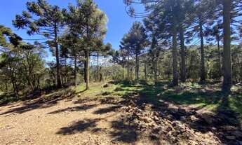 Imagem 4: Urubici- Terreno