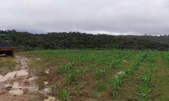 Imagem 4: Fazenda/Sítio/Chácara para venda com 640000 metros quadrados em Biritiba Ussu - Mogi das C