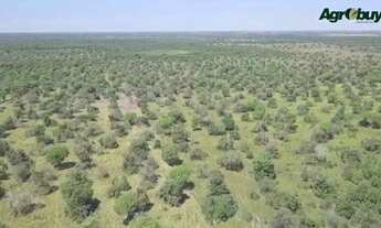 Imagem 5: Fazenda Localizada no Município de Nova Crixas