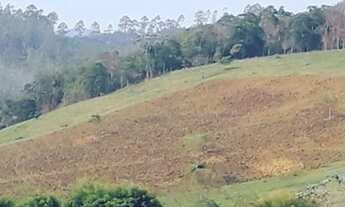 Imagem 3: Fazenda/Sítio/Chácara para venda com 125000 metros quadrados em Centro - Paraibuna - SP