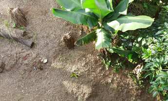 Imagem 6: Oportunidade!!! Terreno Horto Florestal com 1.385m²