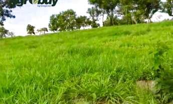 Imagem: Fazenda 1033 Alqueires em Dianópolis to