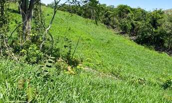 Imagem 7: Fazenda a venda com 113 hectares Zona Rural - Acorizal - MT
