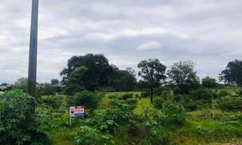 Imagem 5: TERRENO COLORADO JD PINHEIROS 294,5 MTS