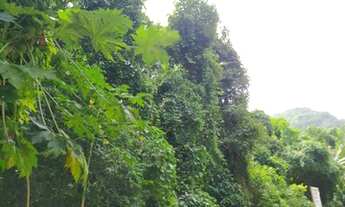 Imagem 3: Lote/Terreno para venda possui matricula, com 637 metros quadrados em Feiticeira - Ilhabel