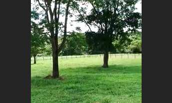 Imagem 4: 2,36 alqueires - cultura