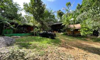 Imagem 7: Vende-se excelente chácara!