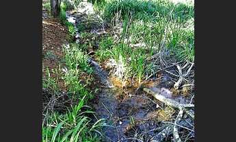 Imagem 4: CHÁCARA EM IBIPORÃ-PR - 35.319 mts2