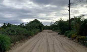 Imagem 4: Lote frente rua em taipu de fora