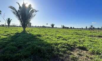 Imagem 6: Sítio localizada na LH 03 do flor do Amazonas a 31 km de Cándeias do Jamari