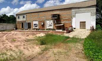 Imagem 7: Galpão Escritório Camara Refrigerada Marituba