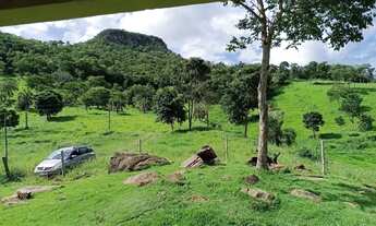 Imagem 2: Sítio 11 Alqueires Itapuranga GO