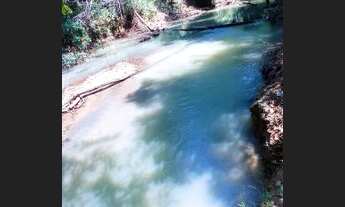 Imagem: Fazenda com 30 hectares na beira do rio