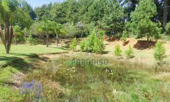 Imagem 7: Chácara com 4 dormitórios à venda, 43000 m² por R$ 6.500.000 - São Braz - Curitiba/PR