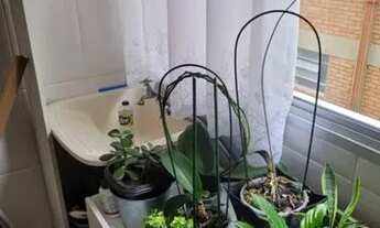 Imagem 6: São Paulo - Apartamento Padrão - Vila Olímpia