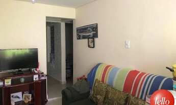 Imagem 2: São Paulo - Casa Padrão - Água Rasa