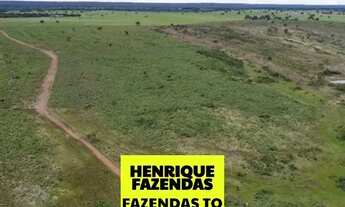 Imagem 2: Fazenda dupla aptidão região sul do Tocantins ....