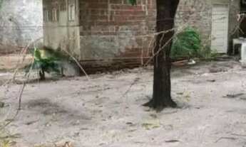 Imagem: Aluga-se casa grande em pium com quintal