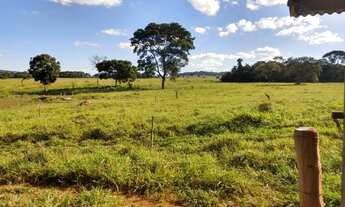 Imagem 7: Vende-se Chácara de 1 alqueires e 70 litros em Trindade-GO