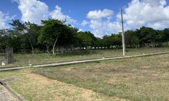 Imagem 4: Lote de 1000 m2 no Condominio Pau Brasil