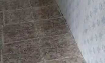 Imagem 2: Alugo casa linda