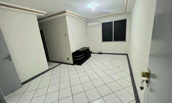 Imagem: Jardim das Palmeiras