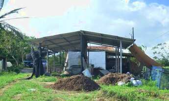Imagem 4: Sítio 11 hectares em Paudalho