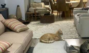 Imagem 4: Apartamento Padrão para Venda em Setor Bueno Goiânia-GO - 484