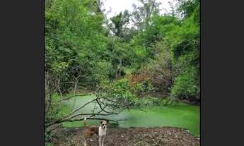 Imagem 2: Vendo chácara em sapucaia