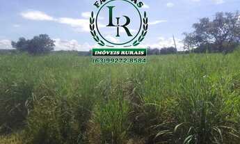 Imagem 5: Fazenda 38,5 Alqueires Alqueires