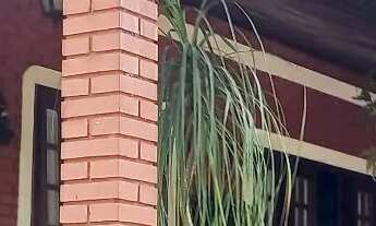 Imagem 3: Oportunidade Chacara próximo a Boituva SP