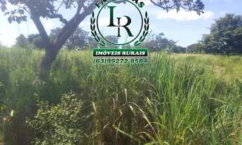 Imagem 3: Fazenda 38,5 Alqueires Alqueires