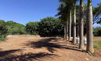 Imagem 2: LOTE TOP RESIDENCIAL 380 METROS SUCUPIRA AVENIDA PRINCIPAL