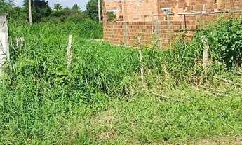 Imagem 5: Terreno no povoado Sapé (Itaporanga