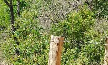 Imagem 2: Terreno na região de Taquaraçu de minas