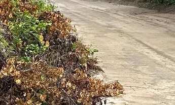 Imagem 3: PROMOÇÃO DE LOTES PARCELADOS EM MARUDÁ - TEMPO LIMITADO ATE 15/12