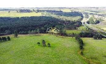 Imagem 3: Área São Luiz do Purunã - Witmarsum 31alq BR 376