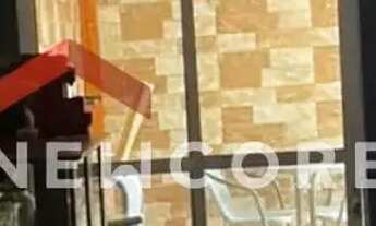 Imagem 3: Apartamento em Estrada do Elenco - Jardim Dona Meri - Guarulhos/SP