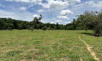 Imagem: Fazenda Arraial