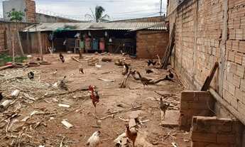 Imagem 5: Lote murado com consertina Lote à Venda, 250.00 por R$ 180000.00 no setor Residencial Prad