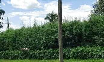 Imagem 6: Chácara em Rua Garbosa Bruller - MONTERRY - Louveira/SP