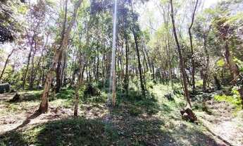 Imagem 5: Terrenos a venda no bairro Dos Fincos São Bernardo do Campo