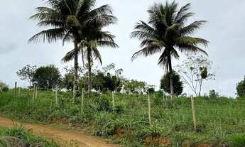 Imagem 4: Terreno mil metros próximo a Iriri